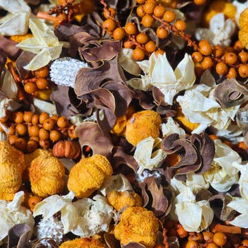 Pumpkin Marshmallow Potpourri | Nature's Elements Handcrafted Fall Decor