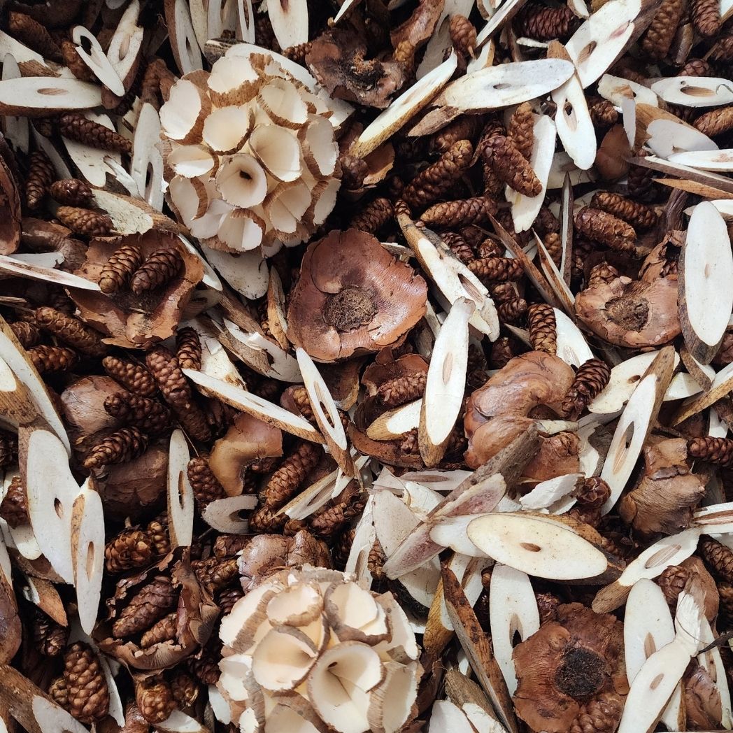 Espresso Caramel Swirl Botanical Potpourri