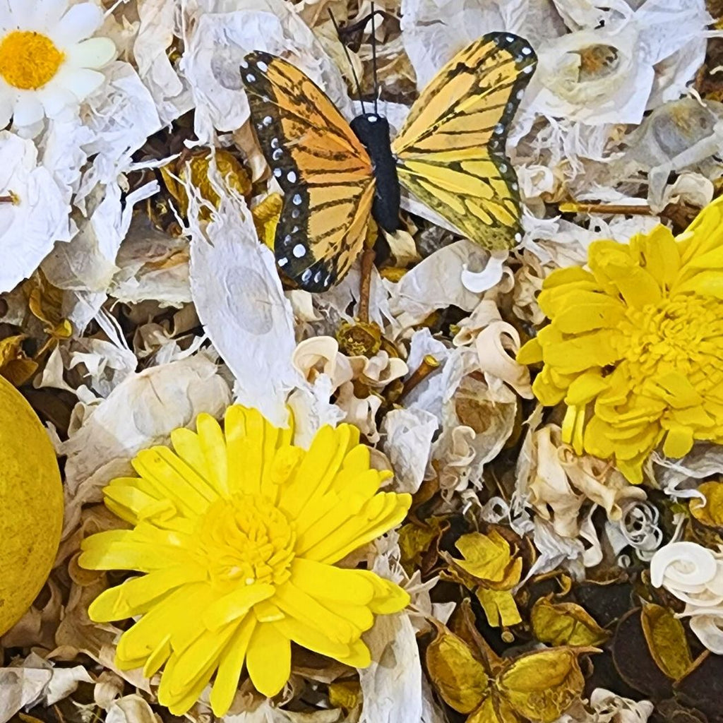 Summer Sun Botanical Potpourri